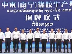 <strong>中柬（南宁）橡胶生产基</strong>